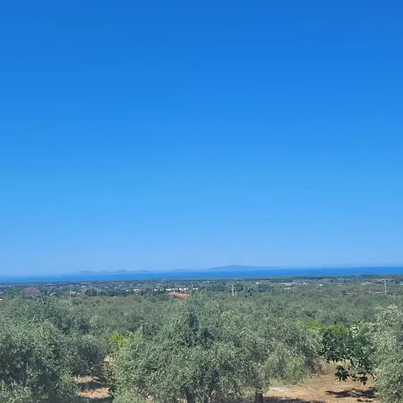 Maddalena Daire