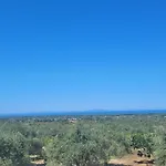 Maddalena Apartman