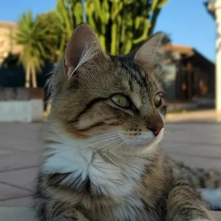 Maddalena Apartamento